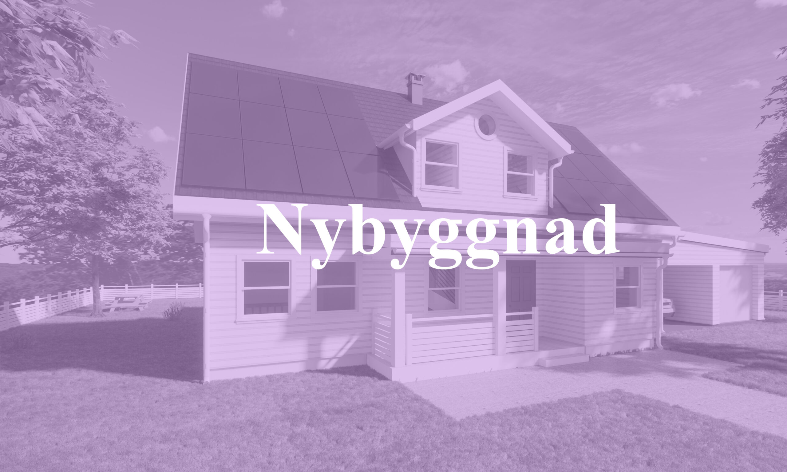 N 03